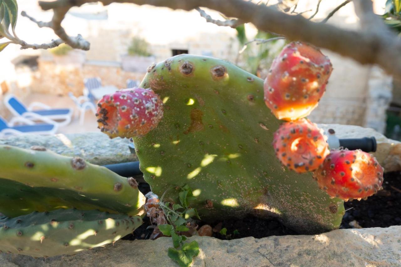 Prickly Pear Holiday Home No.1 San Lawrenz Kültér fotó