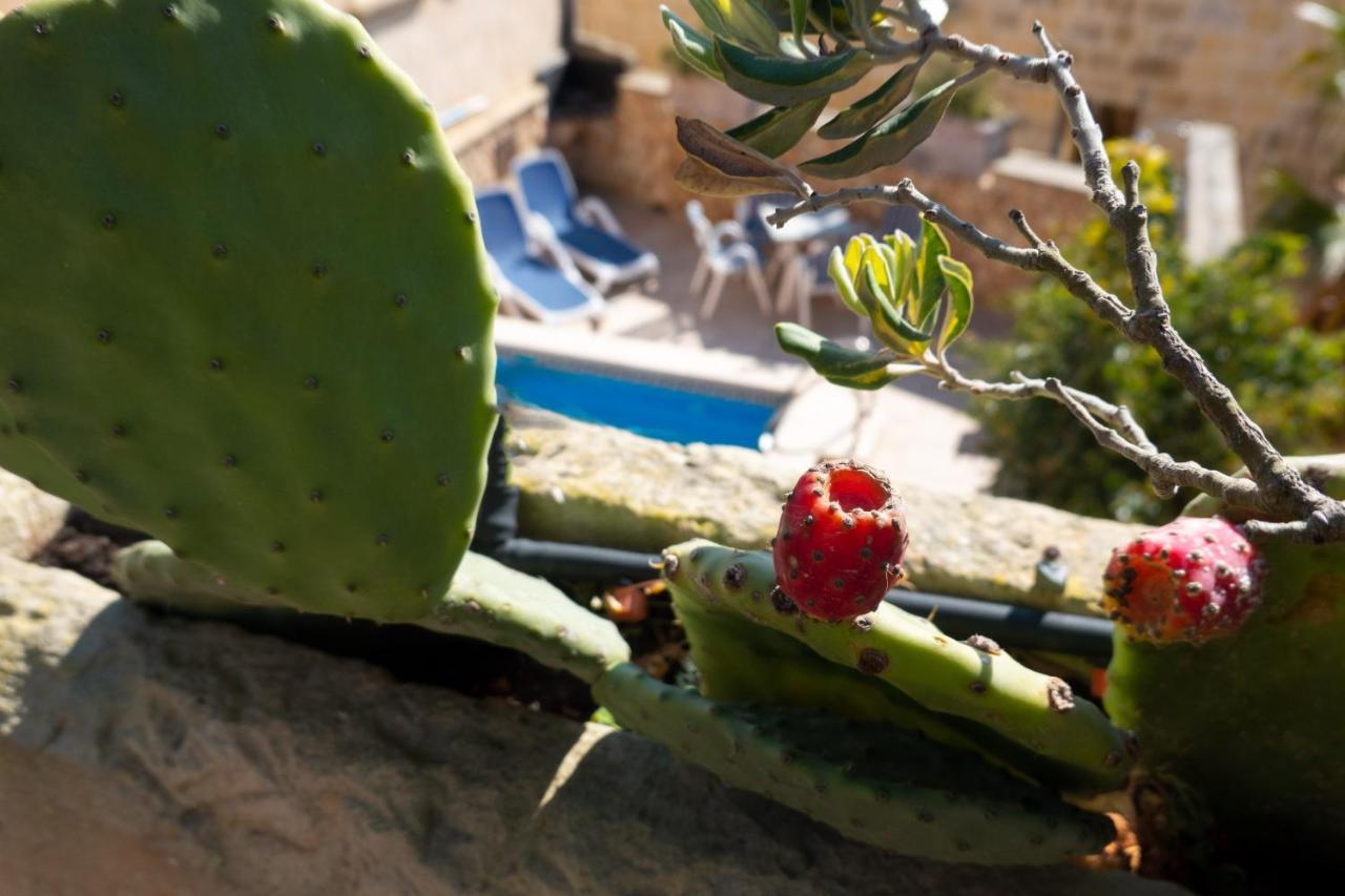 Prickly Pear Holiday Home No.1 San Lawrenz Kültér fotó